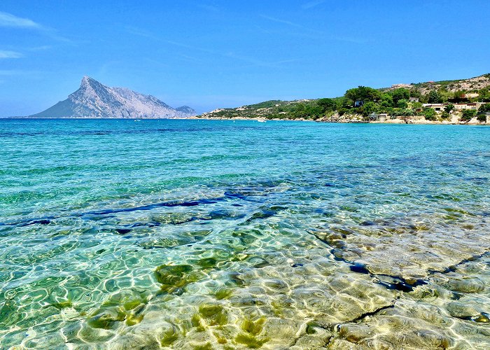 Isola di Tavolara Isola di Tavolara, Sardinia, Italy (Photo credit to Massimo ... photo