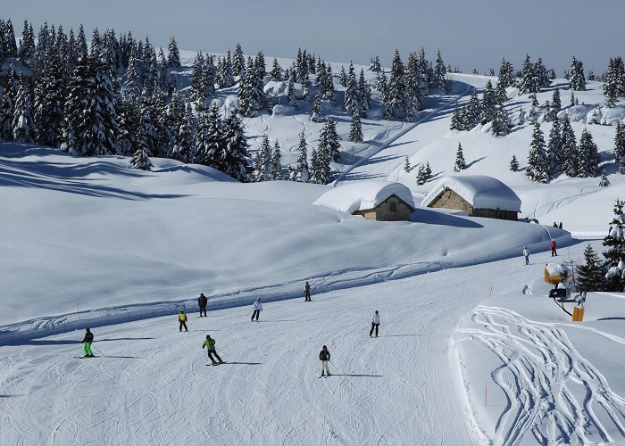 Fondo Grande - Sommo Alto Alpe Cimbra: Folgaria - Lavarone, Ski resort photo