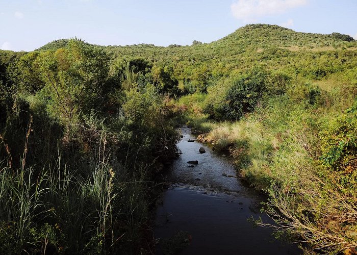 Faerie Glen Nature Reserve Faerie Glen Nature Reserve Hiking Guide | Pretoria, South Africa photo