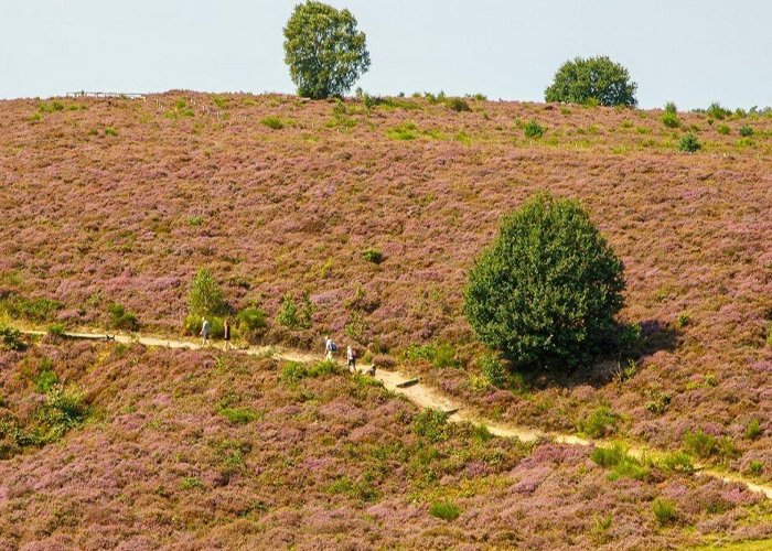 Nationaal Park Veluwezoom NS-wandeling Veluwezoom van Dieren naar Velp of Rheden photo