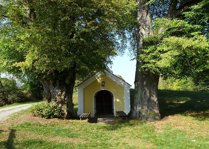 Burg Leuchtenberg The most beautiful hiking routes in Wernberg-Koeblitz | Outdooractive photo