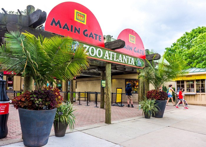 Zoo Atlanta Visit Zoo Atlanta - Get Zoo Info, Insider Tips and Ticket ... photo