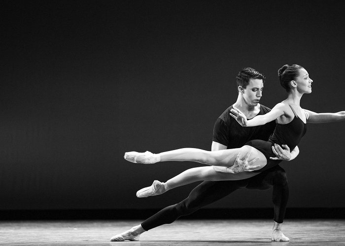 Boston Ballet In Photos: Boston Ballet's Fall Experience | Multimedia | The ... photo