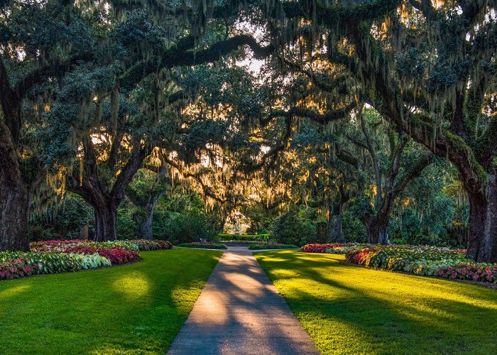 Brookgreen Gardens Visit Brookgreen Gardens | Hours, Special Events & Exhibits photo