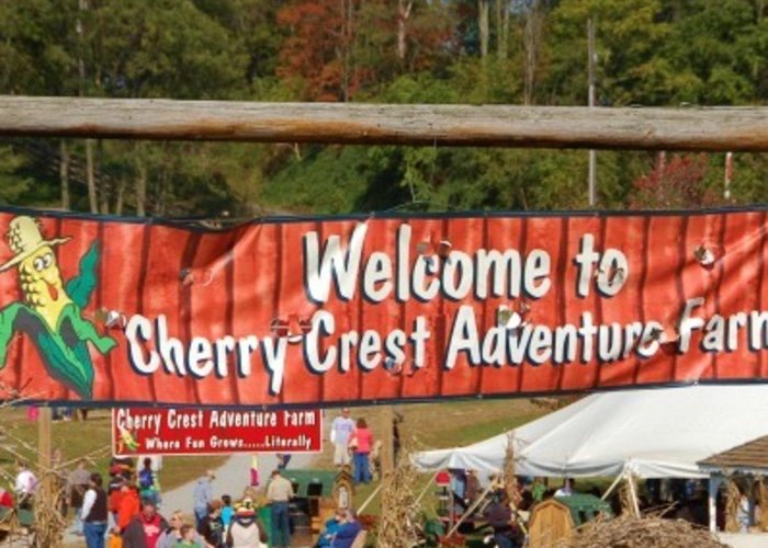 Cherry Crest Adventure Farm Cherry Crest Adventure Farm | Ronks, PA 17572 photo