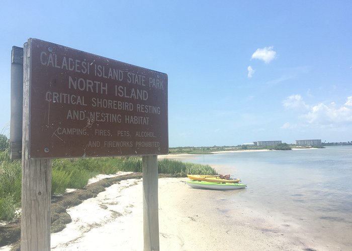 Caladesi Island State Park Caladesi Island State Park | Clearwater, FL photo