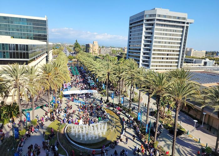 Anaheim photo