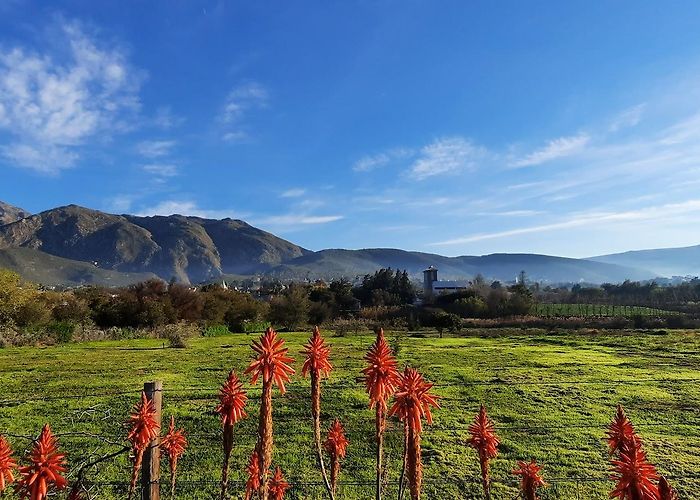 Montagu photo