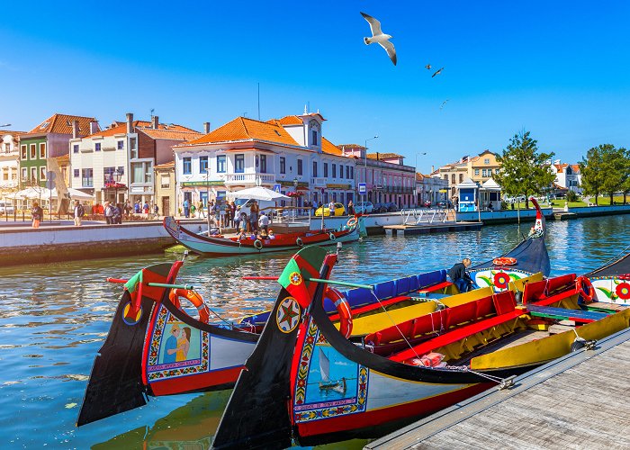 Aveiro photo