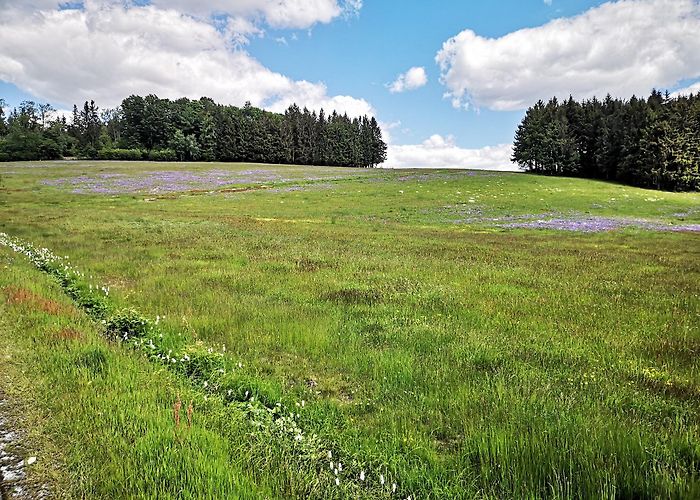 Breitenberg (Lower Bavaria) photo