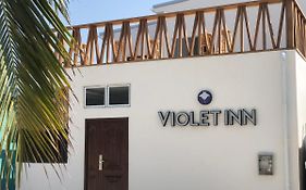 Violet Inn Hotel Dharavandhoo Exterior photo