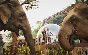 Anantara Golden Triangle Elephant Camp & Resort - Sha Certified Chiang Rai Exterior photo