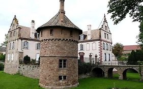 Le Chateau D'Osthoffen Exterior photo
