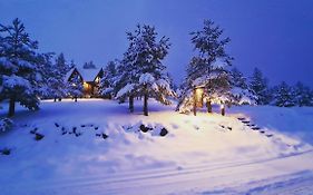 Previja Zlatibor Chalet Villa Exterior photo