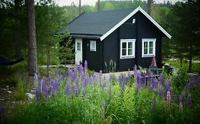 Froya Timber Cottage Arvika Exterior photo
