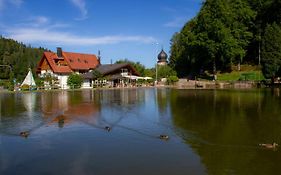 Self-Check-In Ferienwohnungen & Apartments Am Bergsee Triberg im Schwarzwald Exterior photo