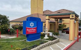 Surestay Plus Hotel By Best Western San Jose Central City Exterior photo