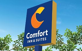 Comfort Inn & Suites Voorhees Exterior photo