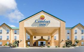 Comfort Inn Lexington South Nicholasville Exterior photo