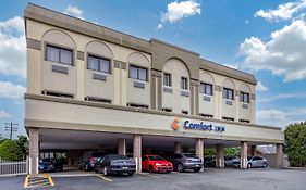 Comfort Inn Syosset-Long Island Exterior photo