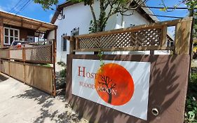 Hotel Hostal Blood Moon Rio Dulce Town Exterior photo