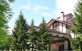 Hakuba Tokyu Hotel Nagano Exterior photo