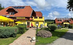 Hotel Gasthof Seeblick Zeutschach Exterior photo