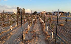 Hotel Black Star Ranch Vineyard Pahrump Exterior photo