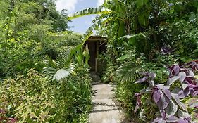 Adorable, Cosy Wooden Bauhinia Cottage Roseau Exterior photo