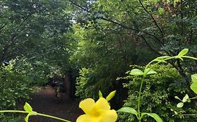 Evergreen Villa Nature Resort Anuradhapura Exterior photo