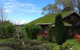 Hostal Zapato Amarillo Bed and Breakfast Puerto Octay Exterior photo