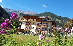 Hotel Ortles Dolomiti Walking & Spa Cogolo Exterior photo