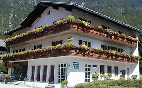 Hotel Haus Alpenrose Obertraun Exterior photo