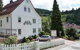 Hotel Pension Rheingold Garni Bad Grund Exterior photo