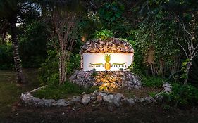 Pineapple Fields Aparthotel Governor's Harbour Exterior photo