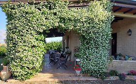 Il Casale Del Sogno Bed and Breakfast Ardea Exterior photo