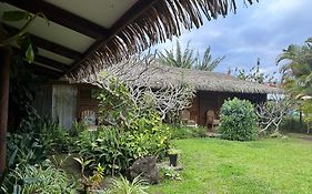 Hare Henua Bed&Breakfast Bed and Breakfast Hanga Roa Exterior photo