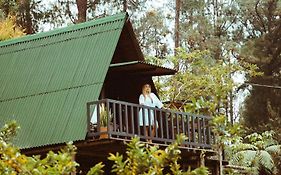 Hotel Cardinal Glamping Guatapé Exterior photo