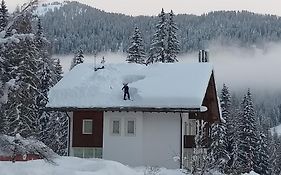 Hotel Ca' del Bosco Selva di Cadore Exterior photo