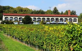 Hotel Rebschule Freyburg Exterior photo