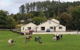 Muckross Riding Stables Cill Airne Exterior photo