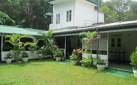 Hotel Levi'S Tourist - Anuradhapura Exterior photo