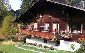 Appartamento Chalet Nyati Gstaad Exterior photo