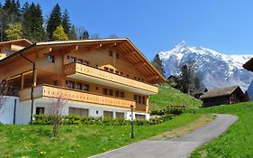 Chalet Ostegg Villa Jungfrau Exterior photo