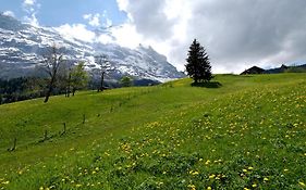 Aspen Alpine Lifestyle Hotel Grindelwald Exterior photo