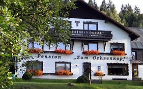 Hotel Am Ochsenkopf Bischofsgrün Exterior photo