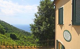 Hotel I Lecci Di Soviore Monterosso al Mare Exterior photo