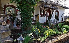 Hotel Haus Buena Vista Bad Kissingen Exterior photo