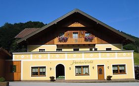 Pension Wald Aparthotel Faistenau Exterior photo