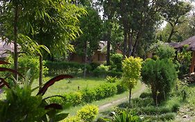 Hotel Jungle Base Camp Bardiya Exterior photo